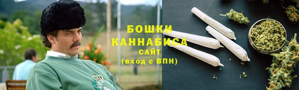 спиды Ладушкин