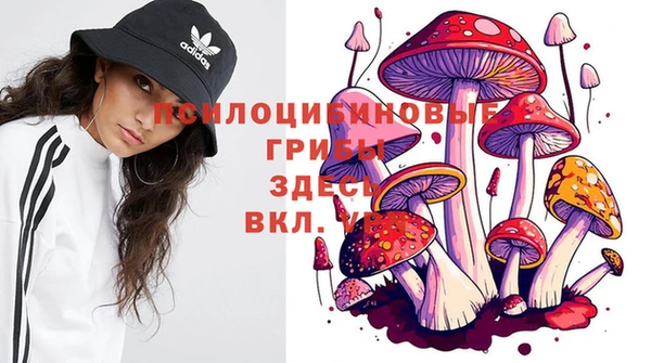 кокаин премиум Лабытнанги