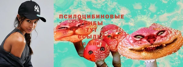спиды Ладушкин