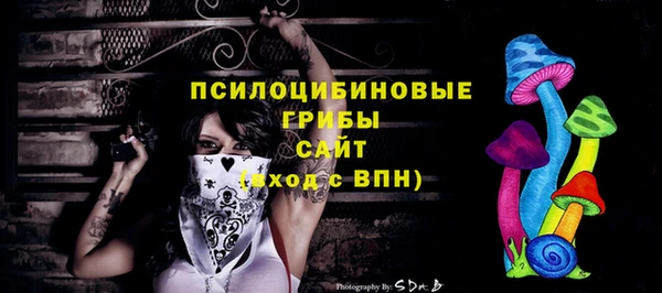 спиды Ладушкин