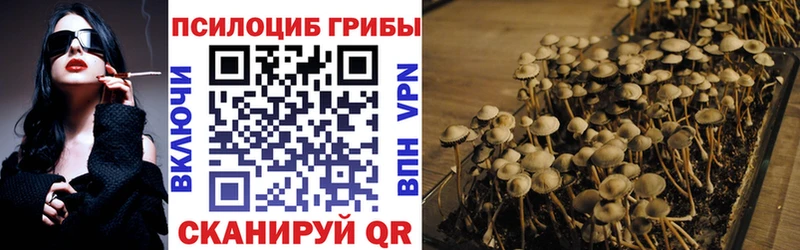 Псилоцибиновые грибы мухоморы  купить   Медынь 